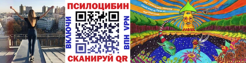 Купить закладки  Курганинск  Галлюциногенные грибы Psilocybine cubensis 